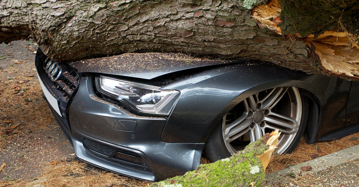 Budget-Friendly Car Insurance for Joliet Illinois